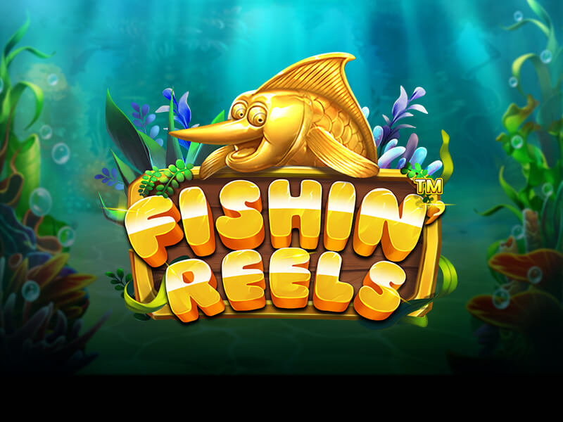 Logo Đội Hổ Báo King